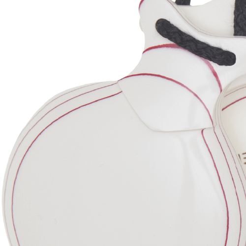 Red-Grained White Capricho Castanets Detail